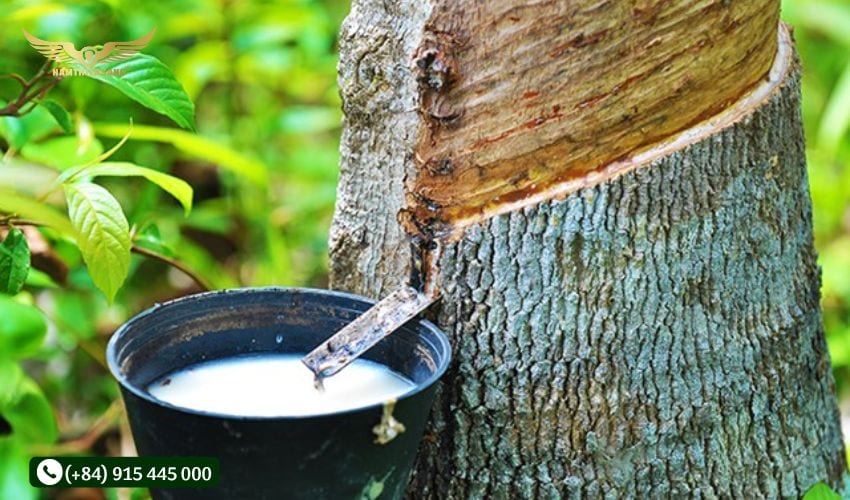 Cất giữ khi không sử dụng