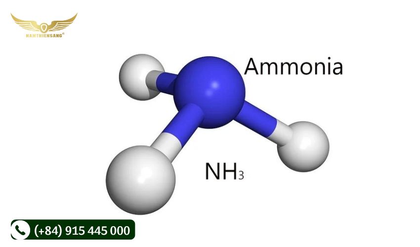 Vệ sinh chén đựng mủ cao su bằng phương pháp ủ chén bằng amoniac