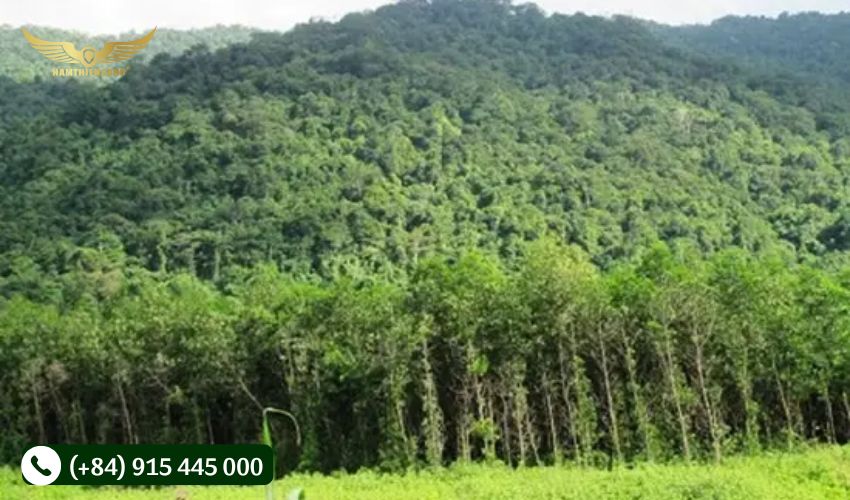 ảnh hưởng đến đời sống