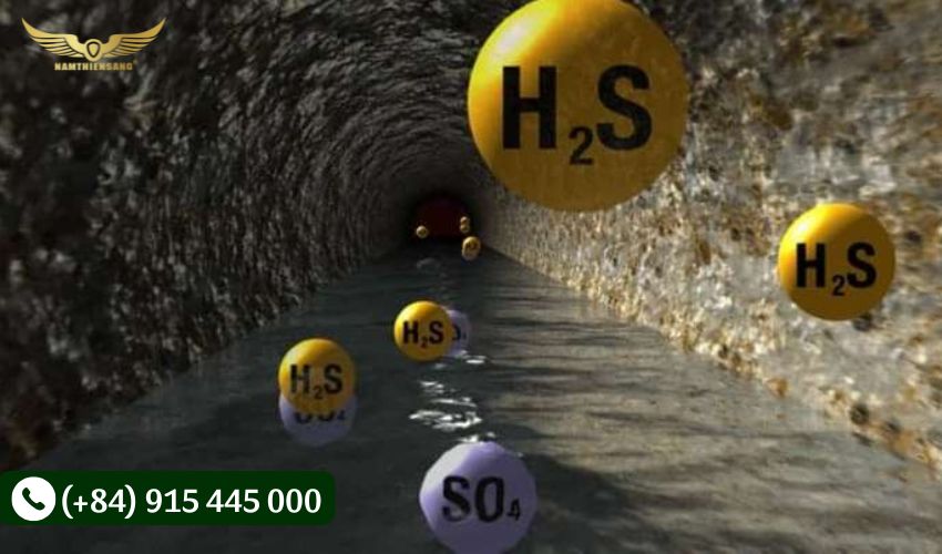 Khai thác mủ cao su bằng khí ethylene