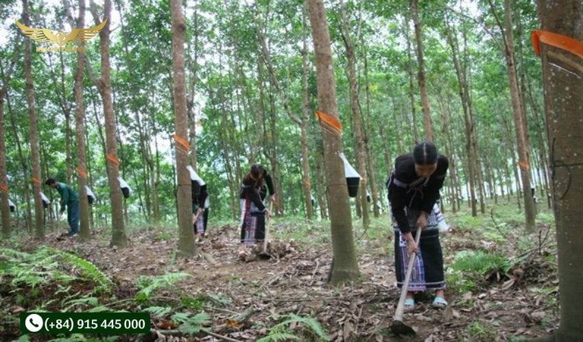 Kiểm tra và sửa chữa định kỳ