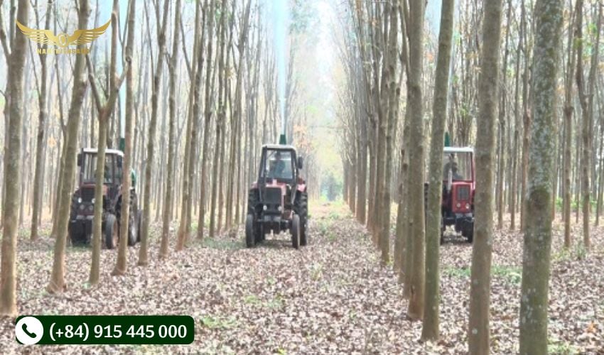 Biện pháp canh tác