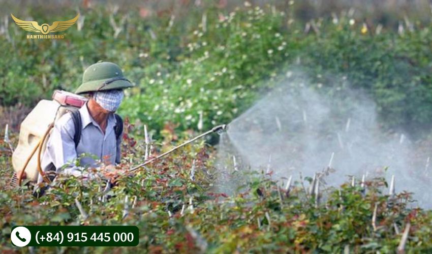 Biện pháp phòng trừ bệnh nứt vỏ trên cây cao su