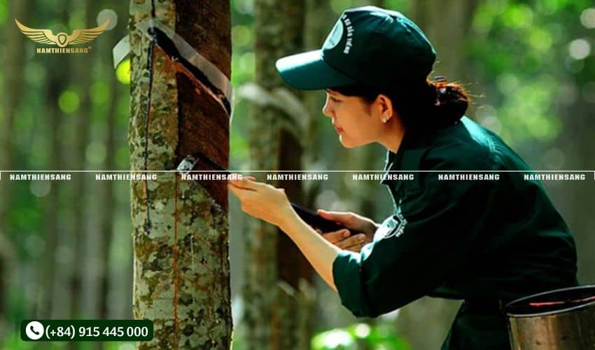 Cách kiểm tra độ bền kéo và độ bền uốn