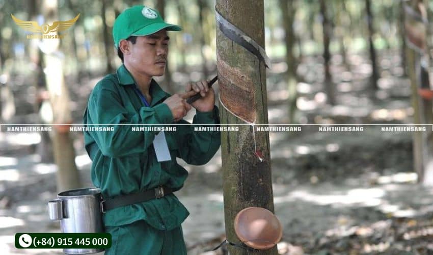 Cách kiểm tra khả năng chống mài mòn