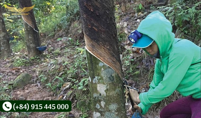 Cầm dao và tư thế đứng