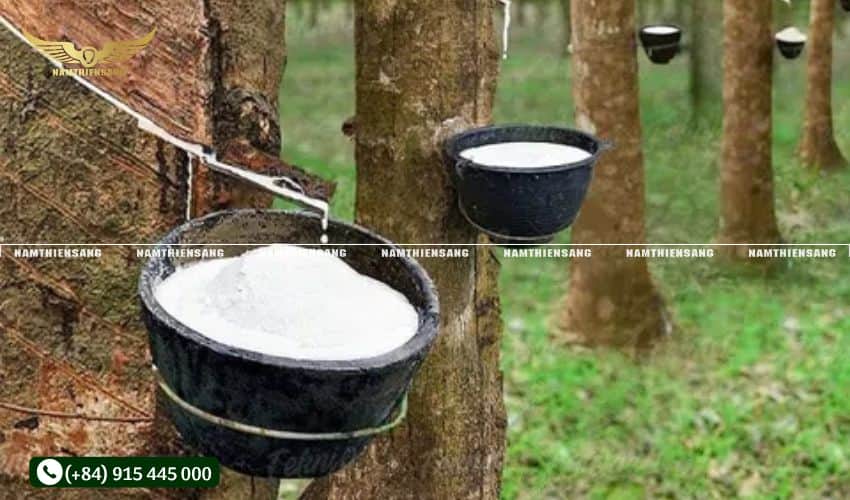 Mã ngành 4632 - Bán buôn thực phẩm