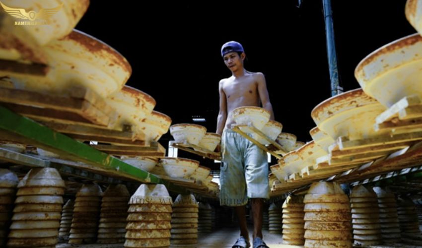 Chén hứng mủ cao su 