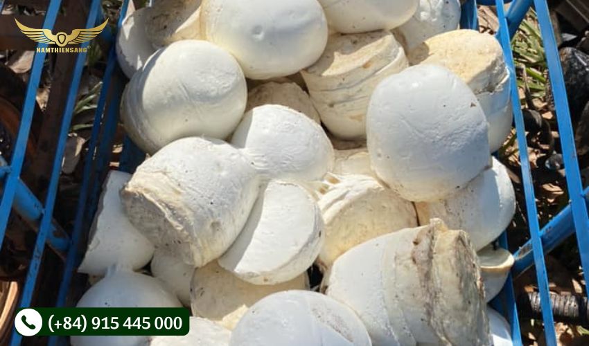 Đánh đông mủ cao su