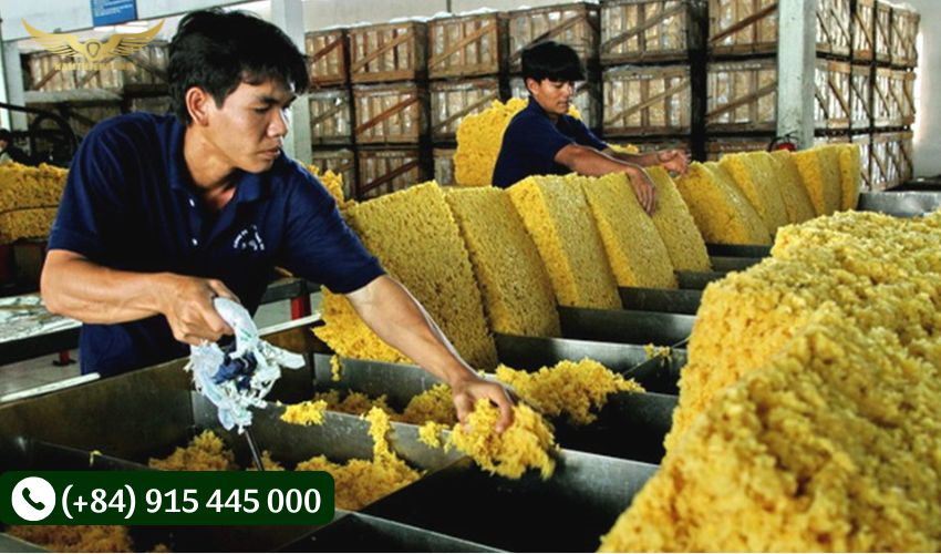 Đào tạo và nâng cao tay nghề