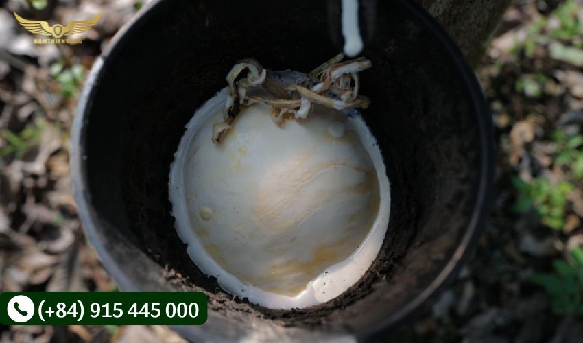 Sử dụng cao su cùng các chất hóa học