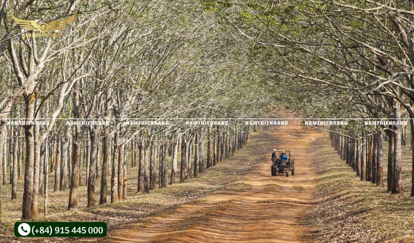 Những lưu ý khi sử dụng máng che 