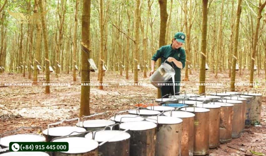 Những lưu ý quan trọng khi lắp đặt máng và chén