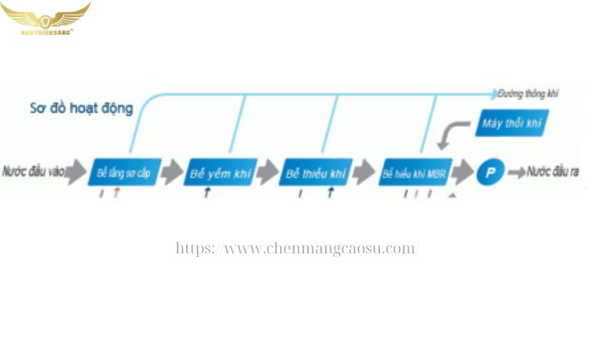 Phương pháp xử lý sinh học