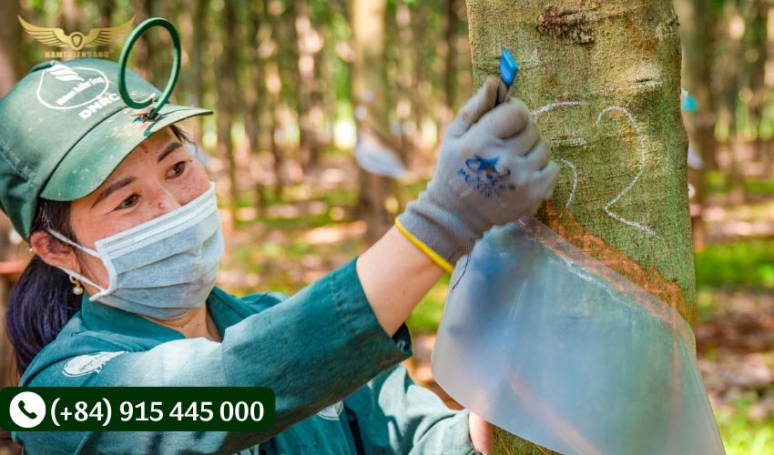 So sánh chi phí sản xuất của máng che nhựa và máng che xốp