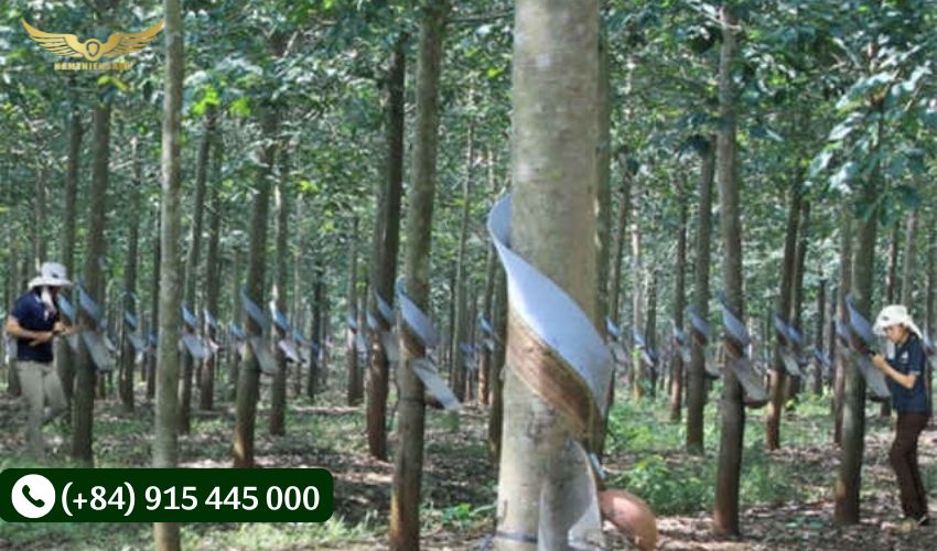 So sánh độ bền của máng che nhựa và máng che xốp
