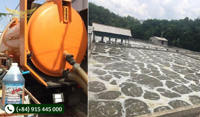 Phương pháp sử dụng vi sinh 