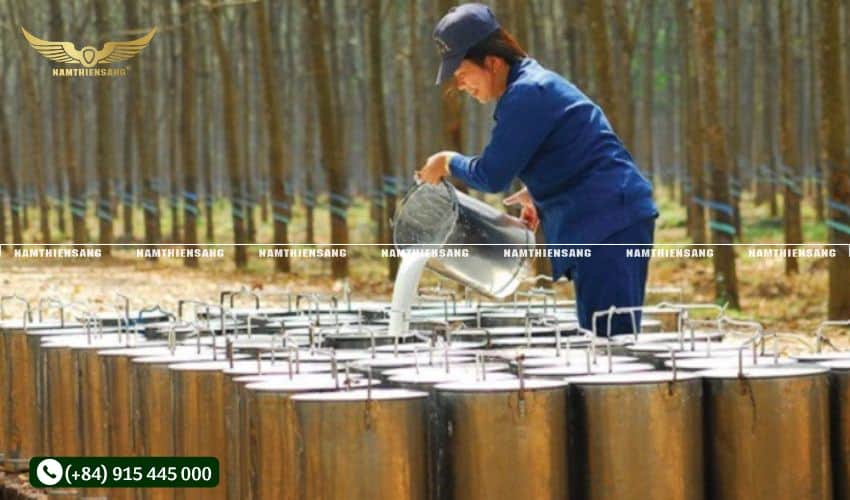 Tái chế và tái sử dụng