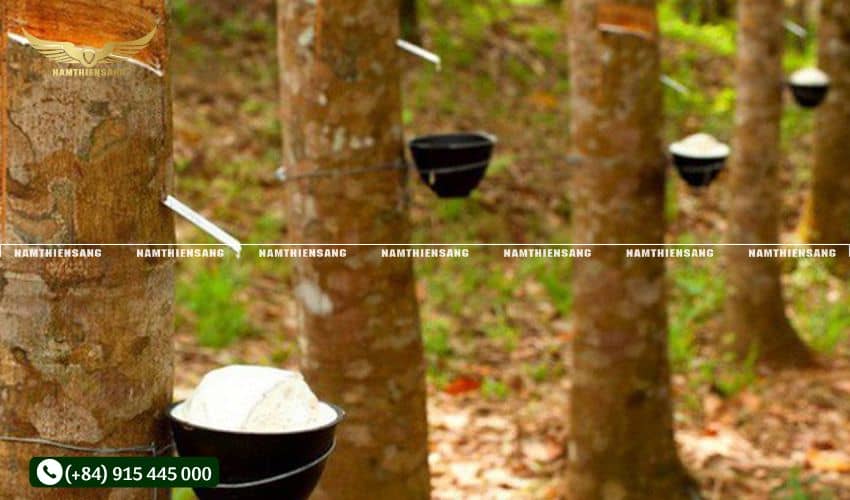 Tại sao cần biết cách kiểm tra độ bền của máng nhựa dùng trong ngành cao su?