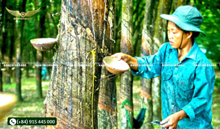 Tại sao cần lắp đặt máng và chén đúng cách?