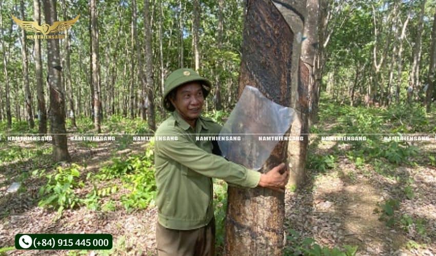 Thử nghiệm nhiệt độ cao và thấp