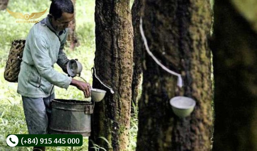 Tiếp nhận nguyên liệu