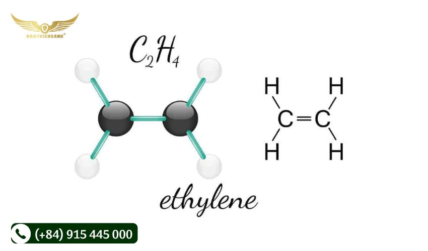 Tổng quan về khí ethylene
