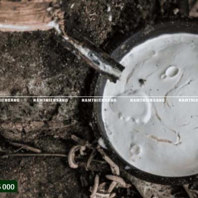 Cách bảo quản mủ cao su đúng kỹ thuật giúp nâng cao chất lượng